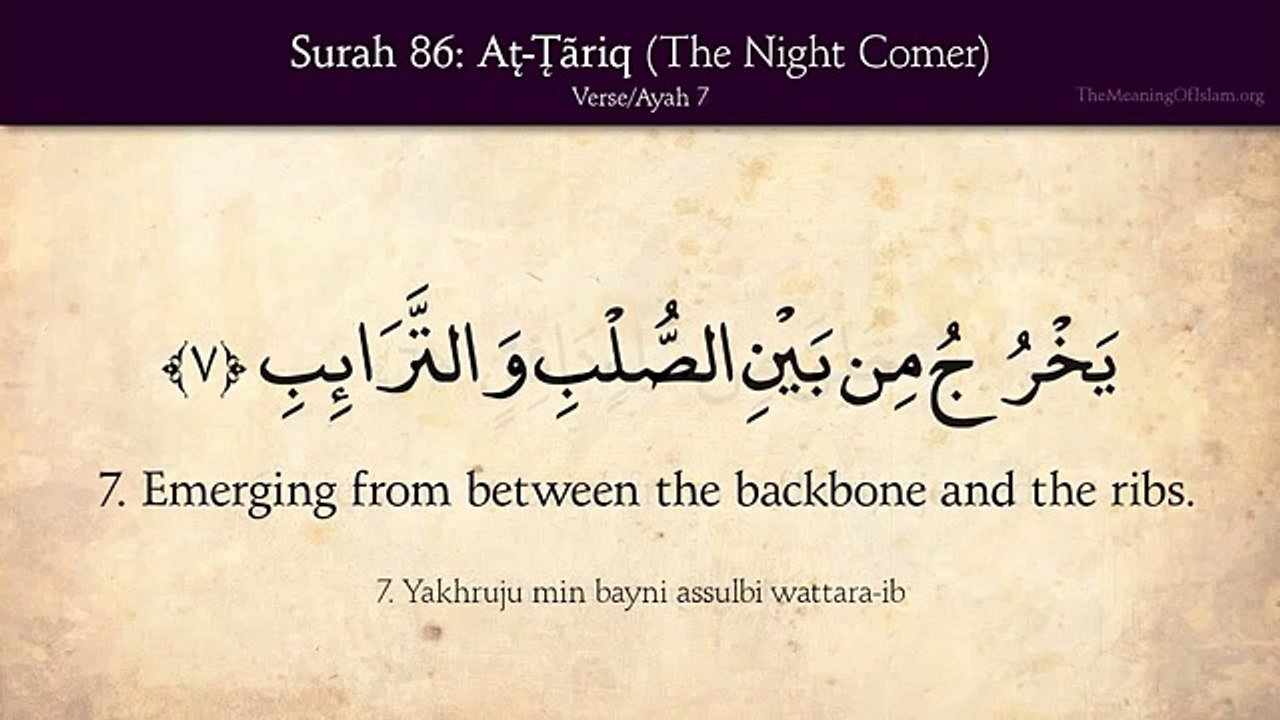 Quran Surat At Tariq The Night Comer Arabic And English