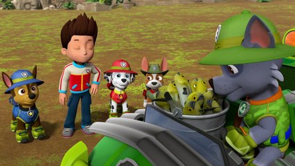 Paw Patrol Season 6 full episodes free 