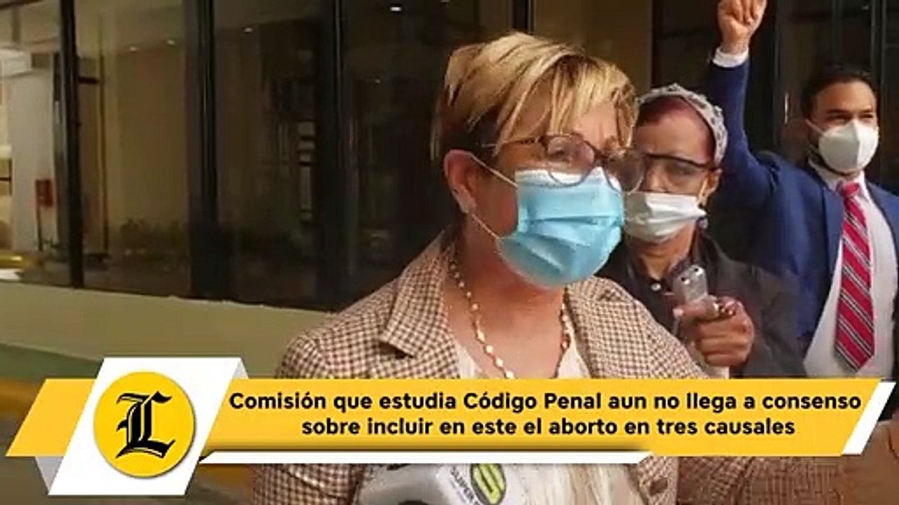 Comisión que estudia Código Penal aun no llega a consenso sobre incluir