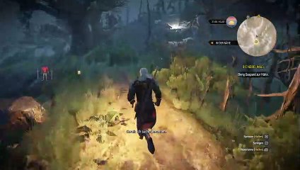witcher von LordRevan709 Dailymotion
