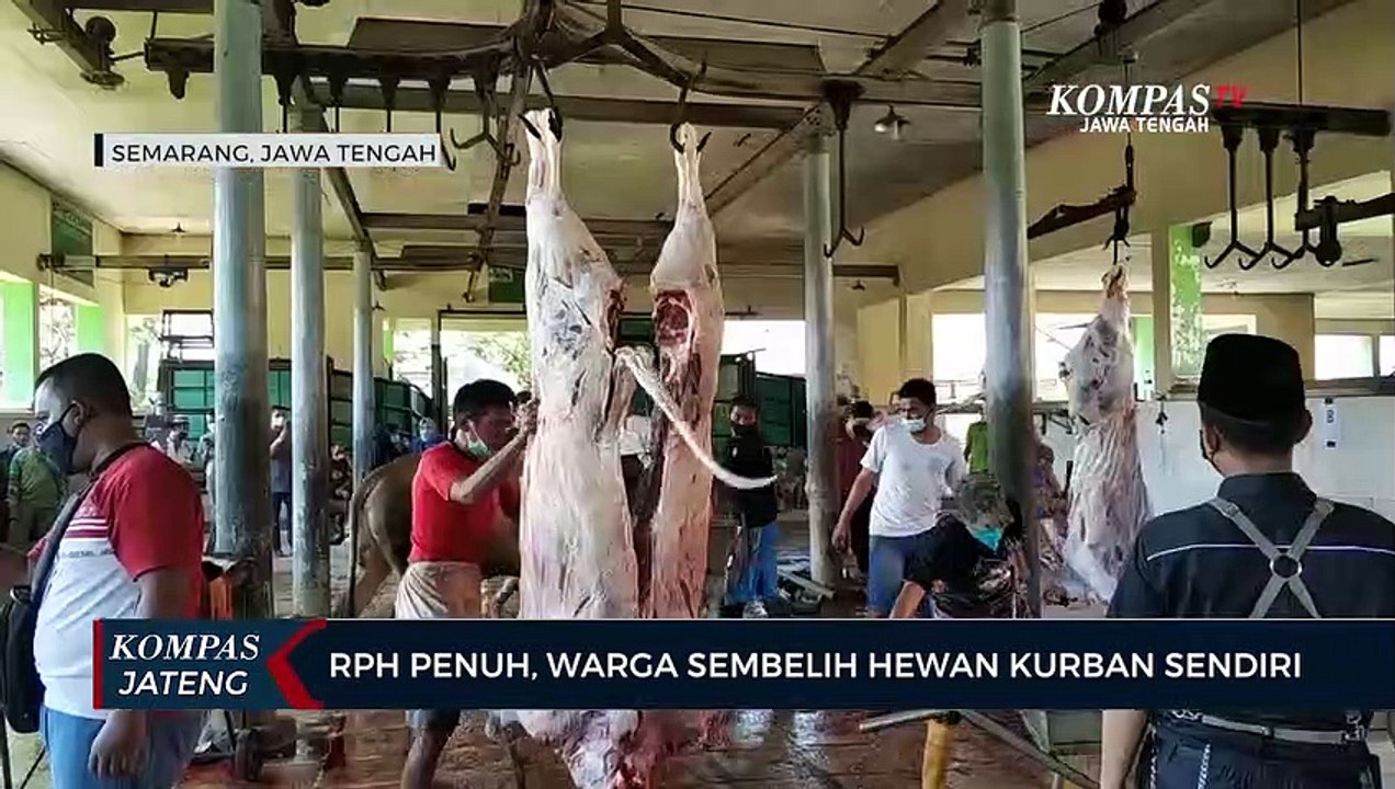 RPH Penuh Warga Sembelih Hewan Kurban Sendiri Video Dailymotion