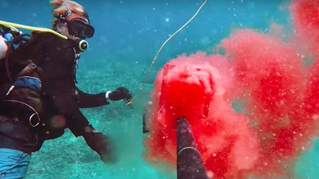 Les requins sont ils attirés par le sang humain Ils ont tenté l