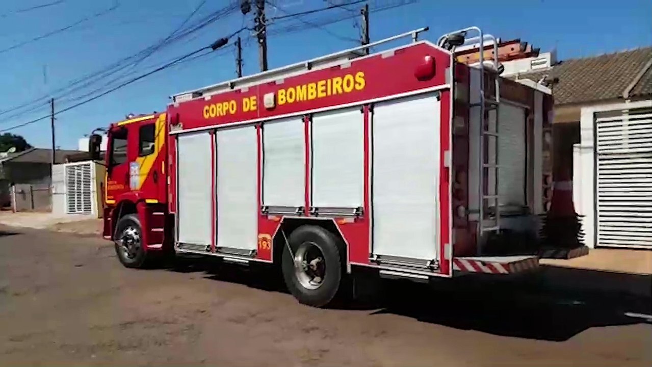 Bombeiros são mobilizados para captura de cobra no Santa Felicidade