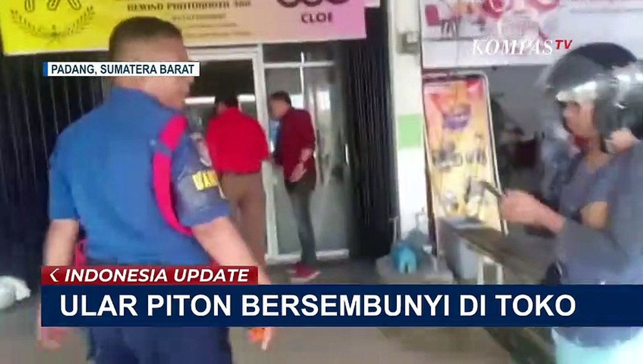 Temuan Ular Piton Sepanjang 2 5 Meter Di Sela Sela Pintu Ruko 5