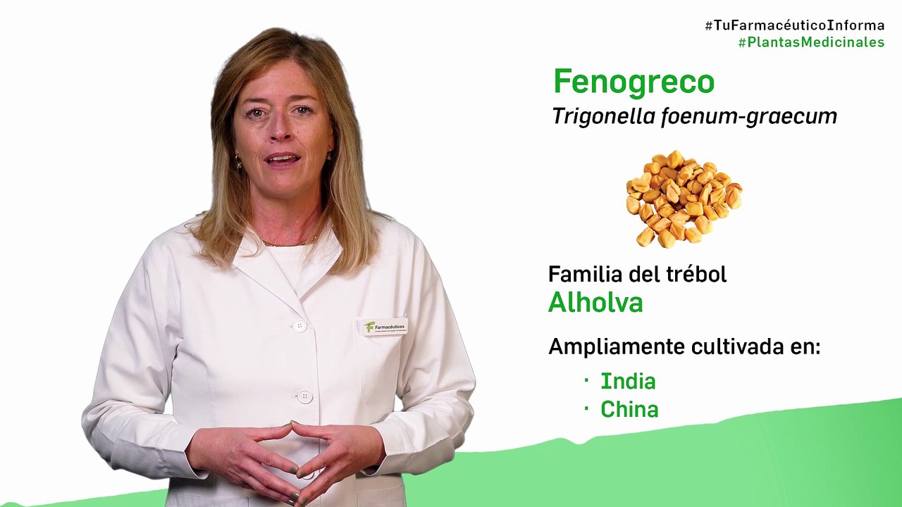 Fenogreco cuándo y cómo debemos tomarlo Tu Farmacéutico Informa