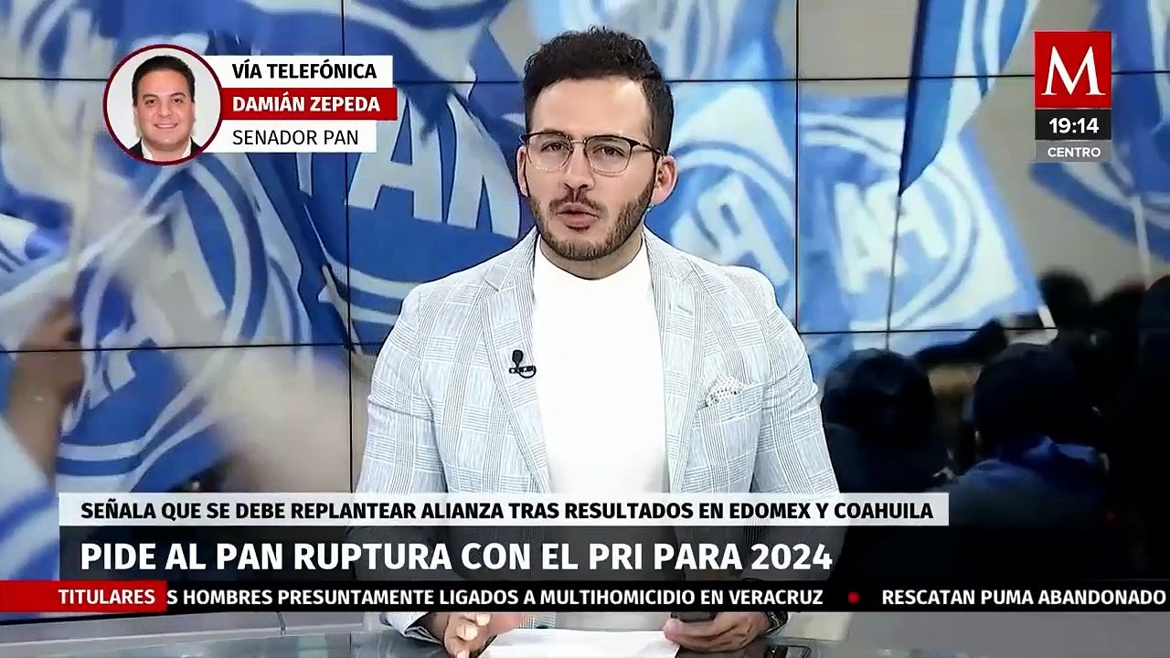 Dami N Zepeda Pide Al Pan Pide Ruptura Con El Pri Para Las Elecciones