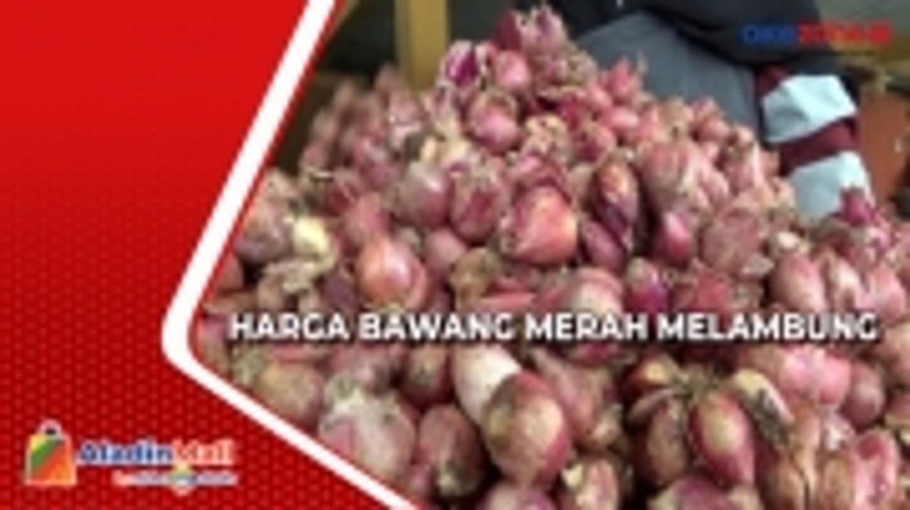 Petani Gagal Panen Harga Bawang Merah Di Yogyakarta Sentuh Rp Ribu