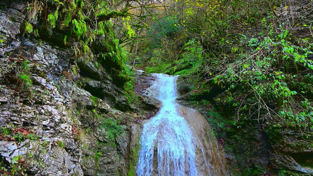 Hour Calming Mountain Water Stream Serene Nature Sounds And Clear