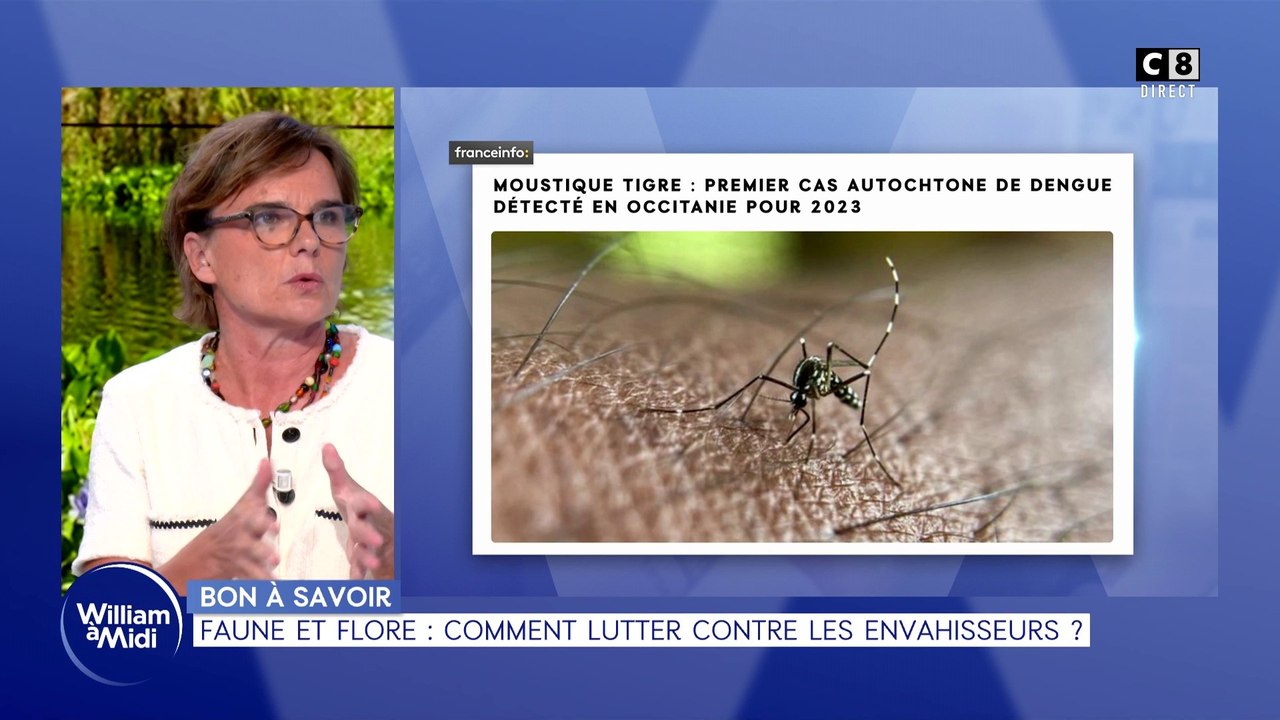 Bon à savoir Faune et flore comment lutter contre les envahisseurs