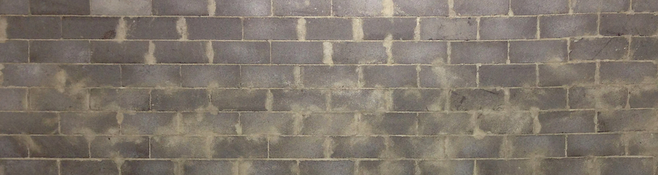 Dick head man Recörds