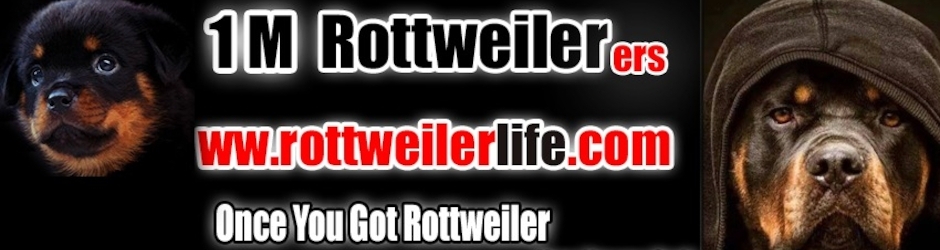 Rottweiler Life