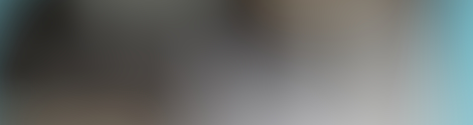 toilettage mousse dog