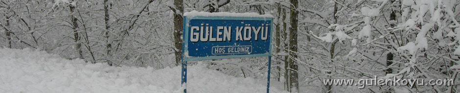 GulenKoyu.com