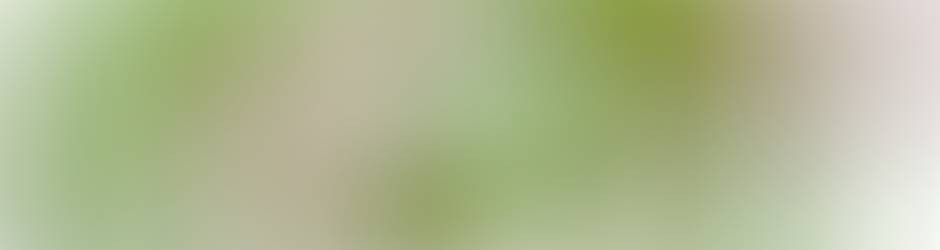 CoucouCorp. Doublages & détournements