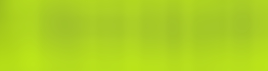 ALMS Claude Yvans Piel