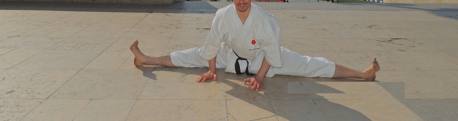 frenchkarate75