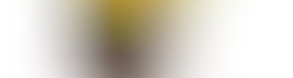 Christian Van den Brande