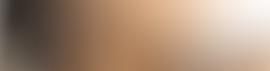 Guillaume Audiovisit