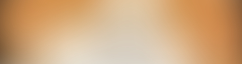 Dominique CALLEWAERT