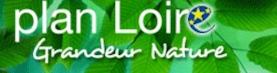 Plan-Loire Plan Loire grandeur nature