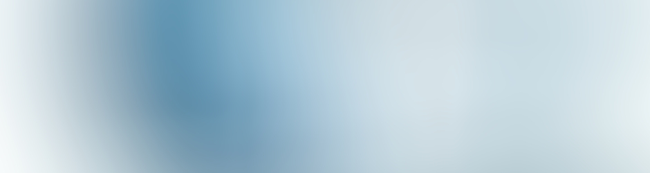 Les Déferlantes du Nantes Rezé Basket