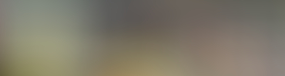 Geoffroy SCHMITT Geoffroy