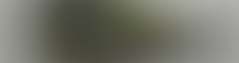 Cathy Brisson Catherine