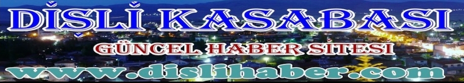 www.dislihaber.com