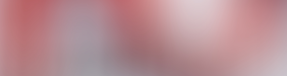 FO Newrest Wagons-Lits