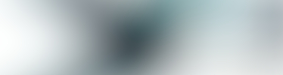 ASSOCIATION ACCESS JAPAN