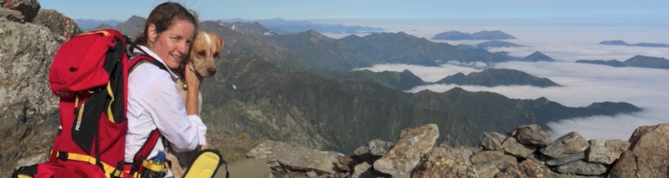 ZenAltitud ZenAltitud