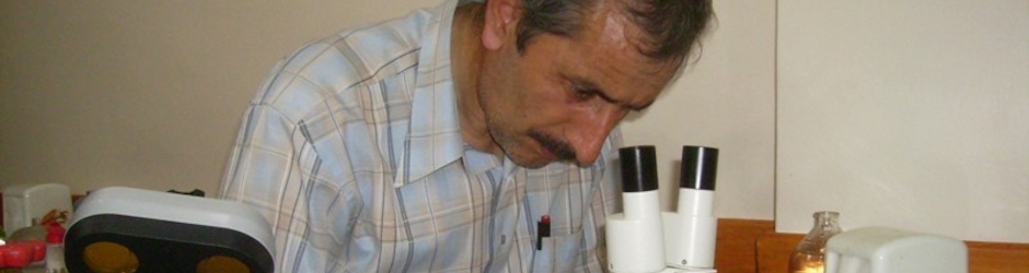Ali Türk