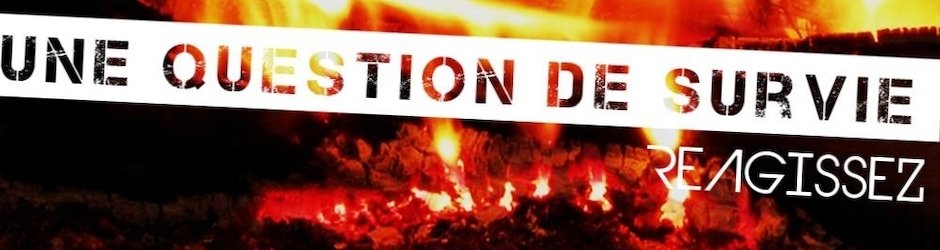 au Coeur du Berry Yann l'oeil du 18...