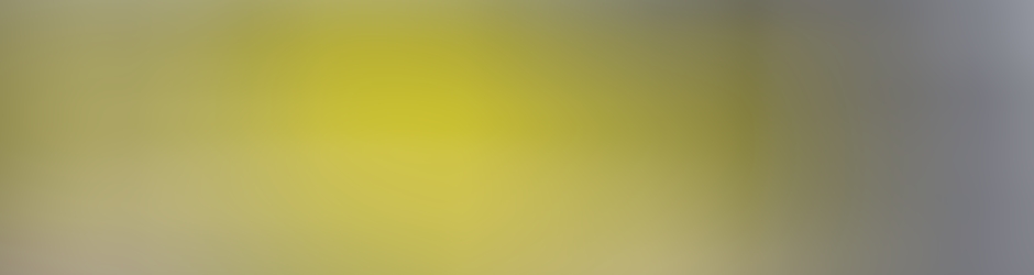 Cité internationale universitaire de Paris