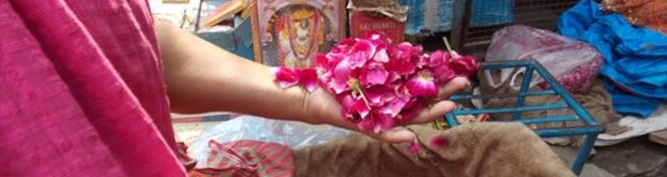 Fabienne Le Houérou