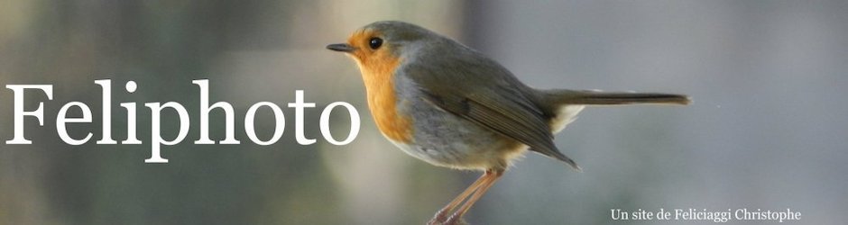 Christophe FELICIAGGI