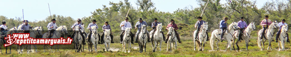 Le Petit Camarguais
