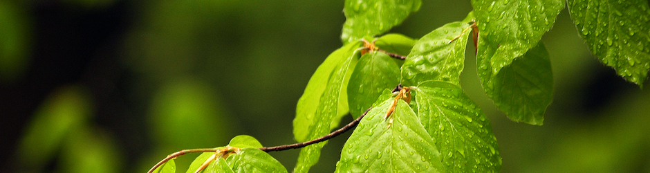 Twoje Zdrowie i Uroda