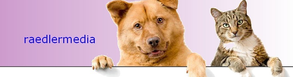 raedlermedia