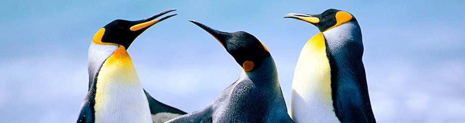 Stéphane Papadimitriou