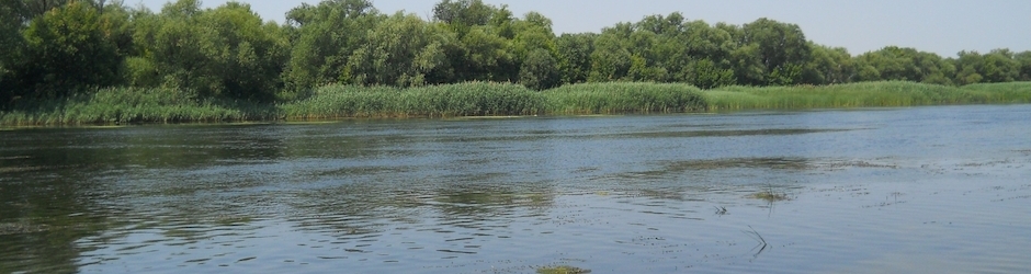 Олег Васильев