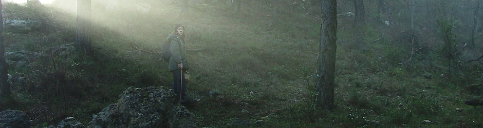 Champimaginatis . Jean-pierre Pietri