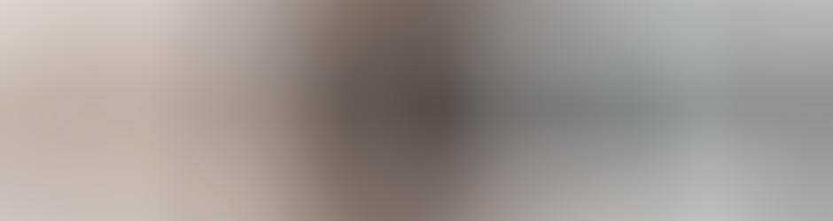 Grupvizyon Orkestrası