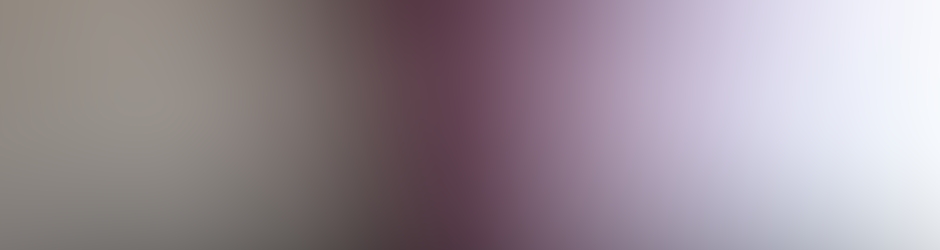 JEAN PIERRE MENEGHEL