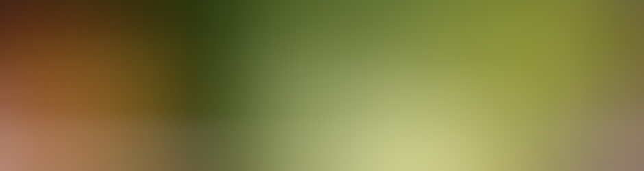 orne info A.Aissaoui