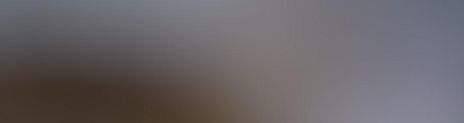 19 ans déjà que tu es parti mon ami.........