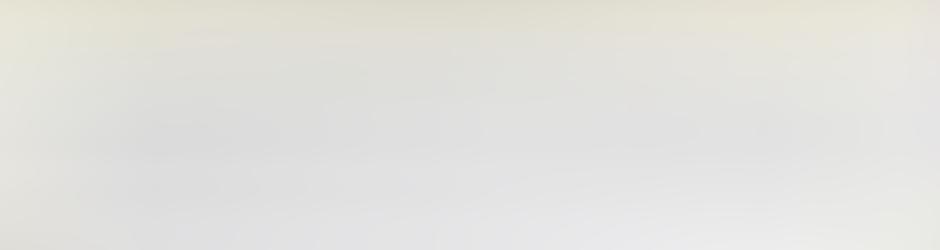 Burma Democratic Concern (BDC)