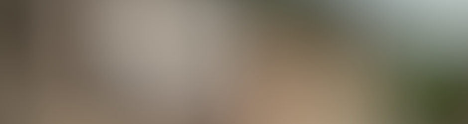 Sabrina Commanderadio