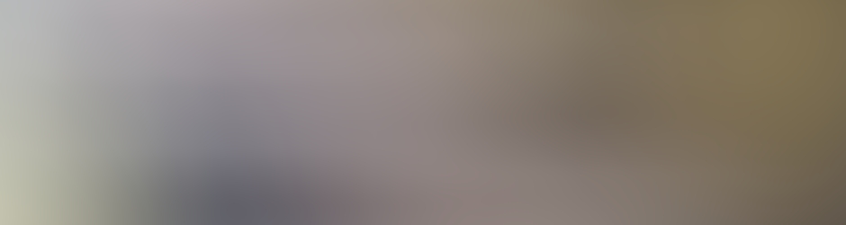 Envision Web Solutions