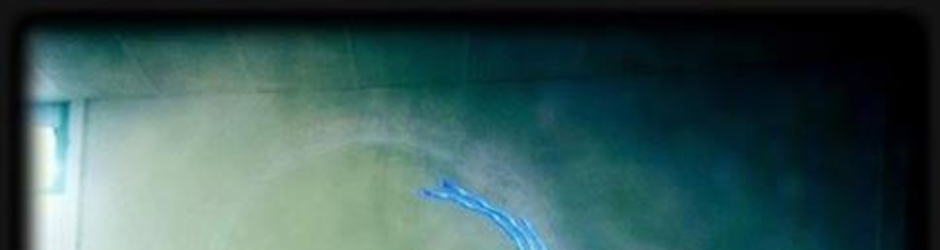 CONTES DU JOUR ET DE LA NUIT VÉRONIQUE SAUGER